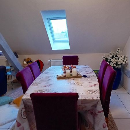 Appartement Spacieux A Ingersheim Avec Vue Sur Jardin 100 M² 외부 사진