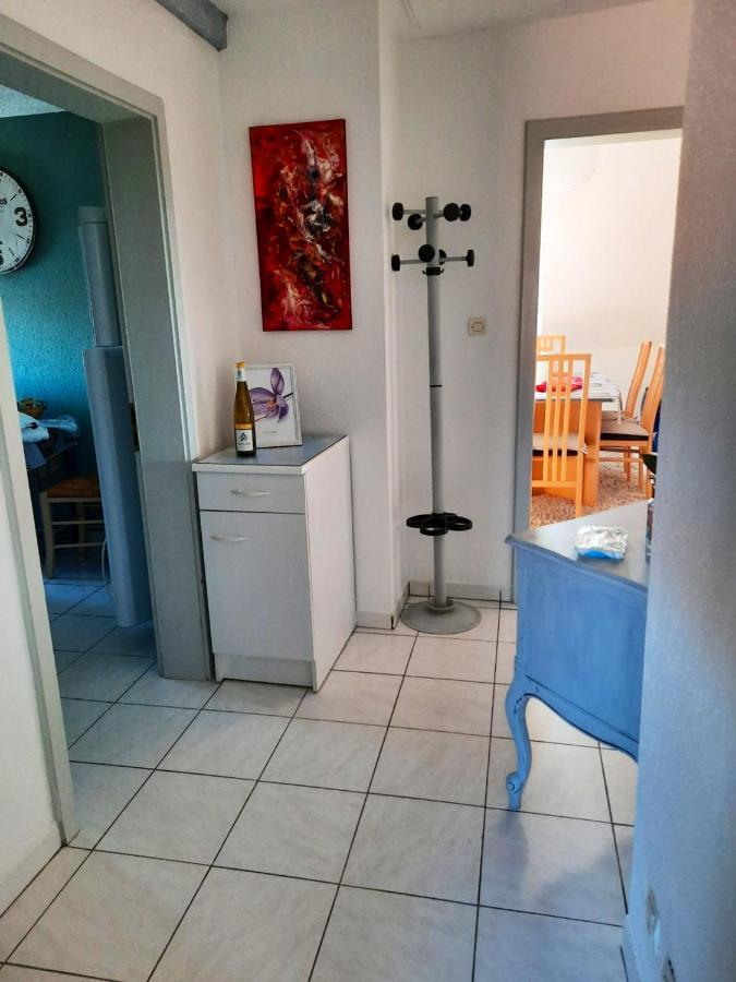 Appartement Spacieux A Ingersheim Avec Vue Sur Jardin 100 M² 외부 사진